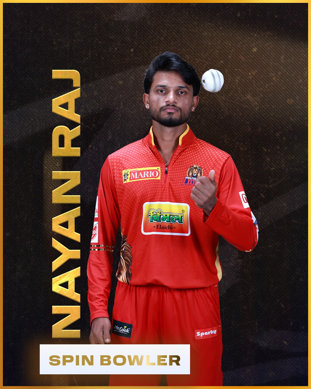 Jabalpur Royal Lions squad card 9